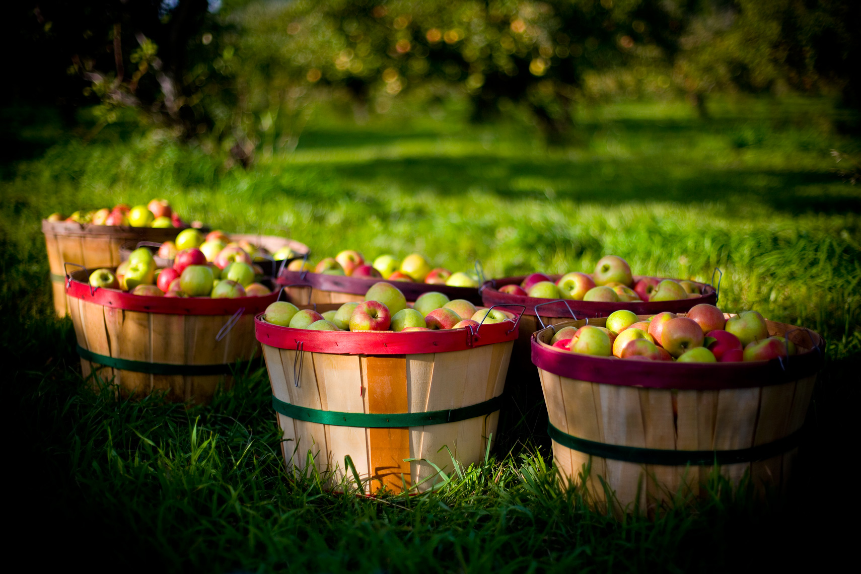 Apple-Baskets_webres